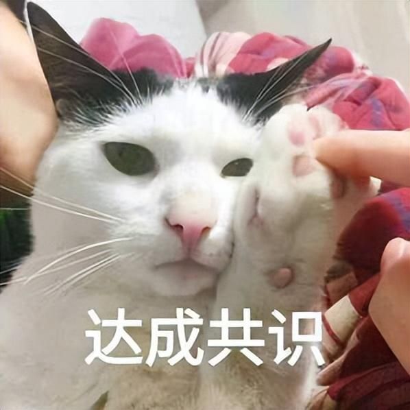 华为鸿蒙系统有5G手机吗（第一台5G鸿蒙手机杀回来了）(15)