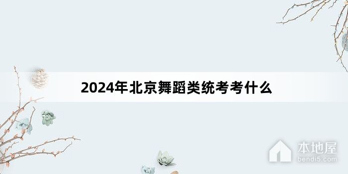 2024年北京舞蹈类统考考什么