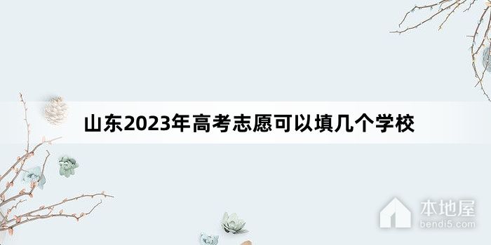 山东2023年高考志愿可以填几个学校