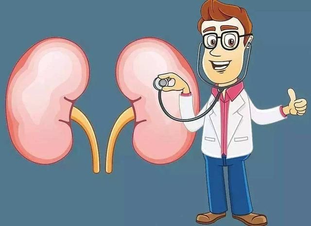 iga肾炎最好的恢复方式（DDS生物电洗肾温肾固肾手法）