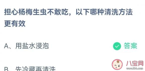 担心杨梅生虫不敢吃以下哪种清洗方法更有效 蚂蚁庄园5月30日答案