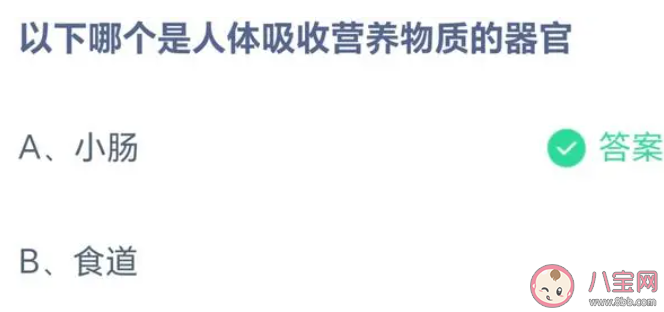 以下哪个是人体吸收营养物质的器官 蚂蚁庄园5月31答案