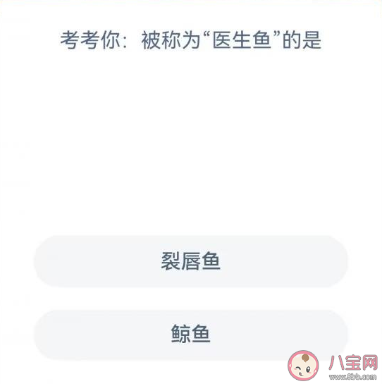 蚂蚁森林被称为医生鱼的是什么鱼 神奇海洋6月3日答案