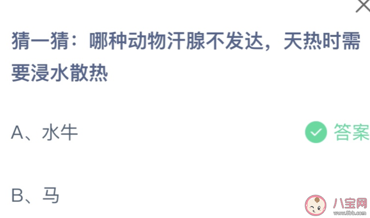 蚂蚁庄园哪种动物汗腺不发达天热时需要浸水散热 7月8日答案