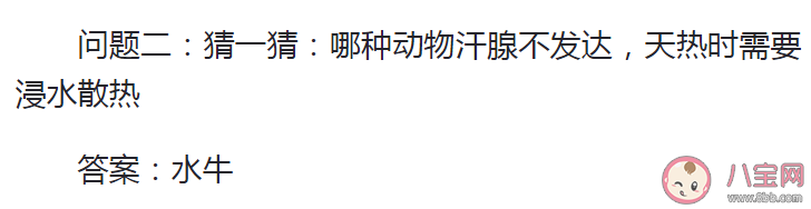 哪种动物汗腺不发达天热时需要浸水散热 蚂蚁庄园7月8日答案