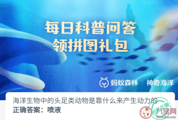 海洋生物中的头足类动物是靠什么来产生动力的 神奇海洋7月11日答案介绍