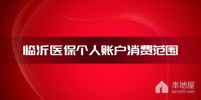 临沂医保个人账户消费范围