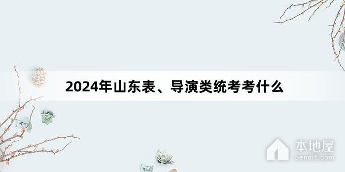 2024年山东表、导演类统考考什么