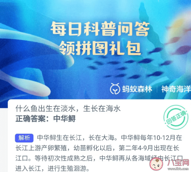 蚂蚁森林什么鱼出生在淡水中生长在海水中 神奇海洋7月19日答案