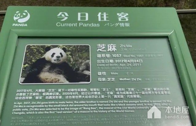 成都大运会吉祥物的原型是谁