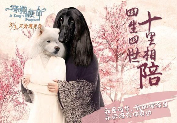 三生三世十里桃花的战力体系（为何说三生三世十里桃花是大爆级别）(14)