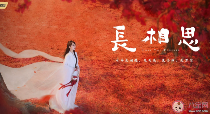 《长相思》人物关系介绍 小夭四对cp结局是什么