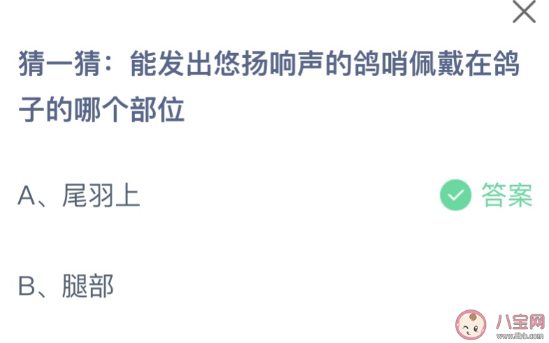 蚂蚁庄园鸽哨佩戴在鸽子的哪个部位 小课堂7月26日答案