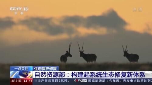 自然保护区人均管护面积（自然保护地占陆域国土面积的18）(1)