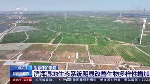 自然保护区人均管护面积（自然保护地占陆域国土面积的18）(4)