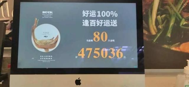 官栈花胶怎么那么多款式（贵妇级花胶放进老鸭煲）(4)