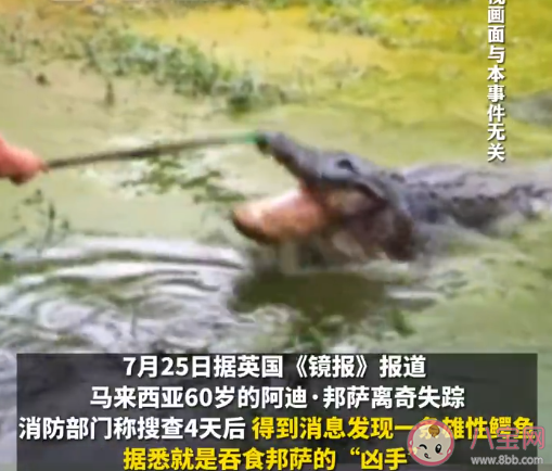 老人失踪4天在鳄鱼胃中发现遗骸 鳄鱼会吃人吗