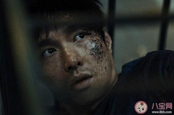 《孤注一掷》故事原型有多恐怖 《孤注一掷》为何能做到点映破纪录