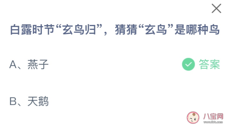 白露时节玄鸟归猜猜玄鸟是哪种鸟 蚂蚁庄园9月8日答案最新