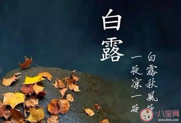 白露时节玄鸟归猜猜玄鸟是哪种鸟 蚂蚁庄园9月8日答案最新