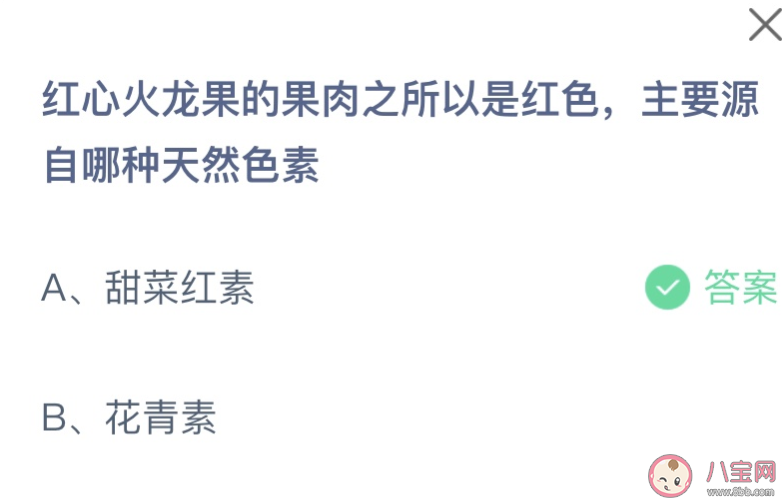红心火龙果的果肉之所以是红色主要源自哪种天然色素 蚂蚁庄园9月13日答案介绍