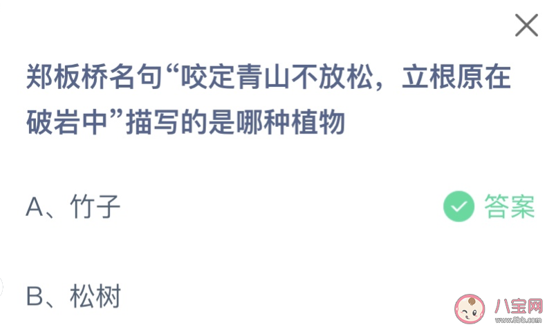 郑板桥名句咬定青山不放松立根原在破岩中描写的是哪种植物 蚂蚁庄园9月22日答案