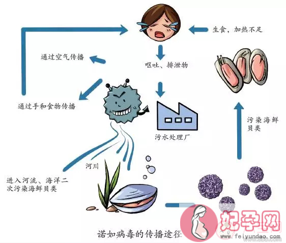 吃草莓会感染诺如病毒是真的吗 孩子吃草莓一定要注意这些