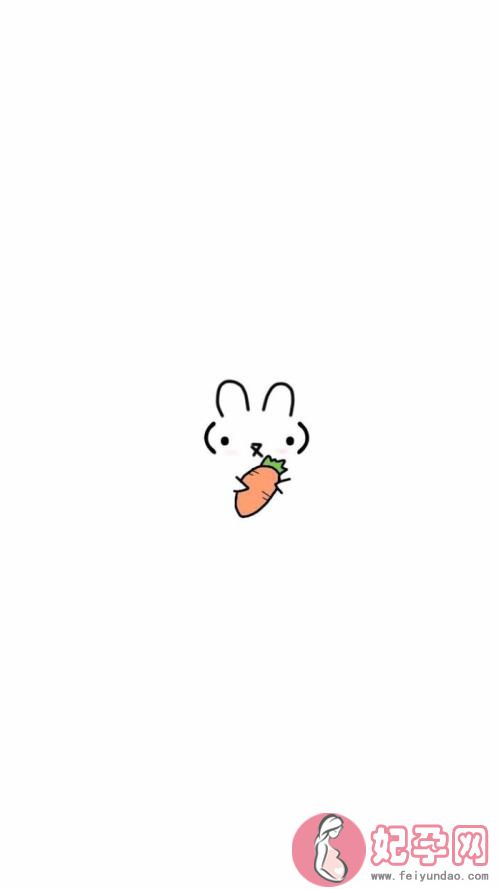让人开怀大笑的小白兔的故事2