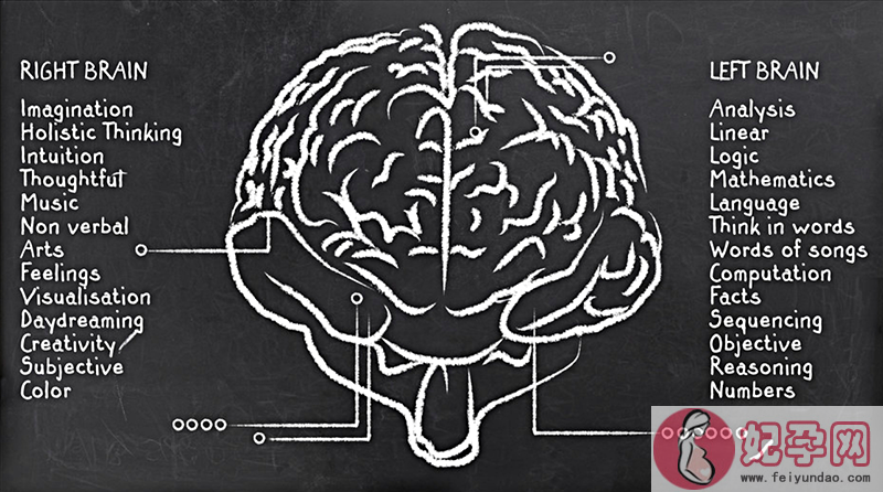 左撇子真的聪明吗？孩子是左撇子到底需不需要纠正呢？